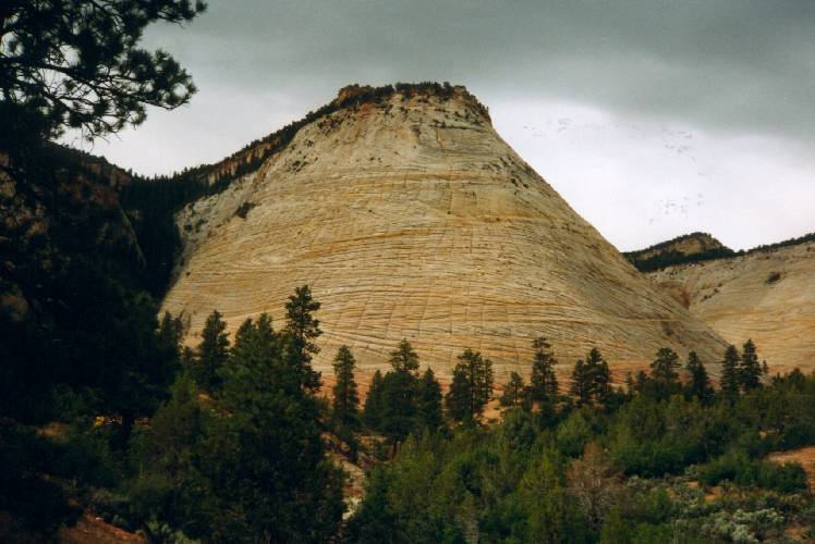 Checkerboard Mesa, Zion